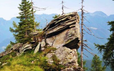 Naturcoaching Soloauszeit