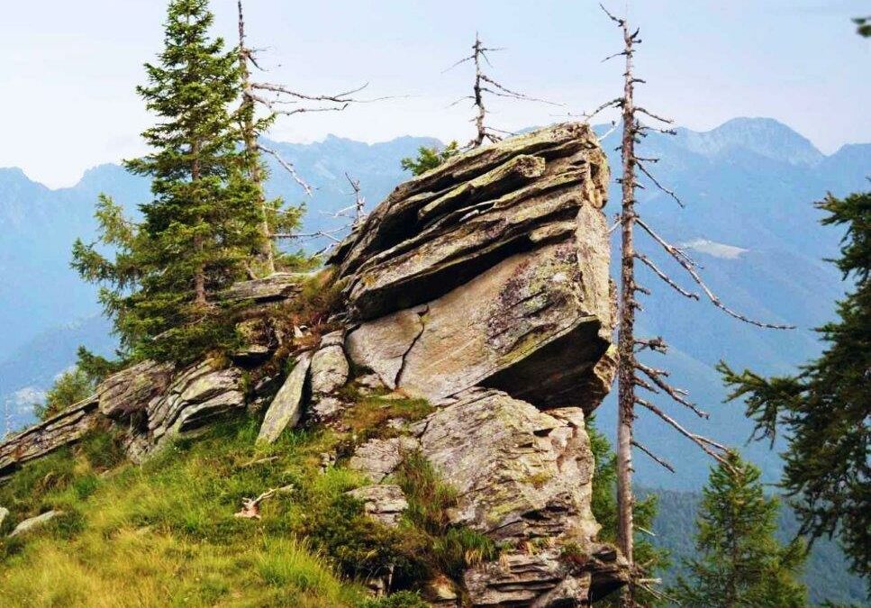 Naturcoaching – Soloauszeit