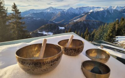 Meiner Natur auf der Spur