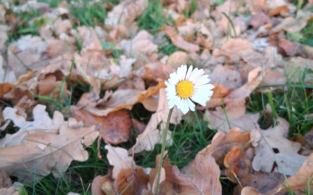 Mutter Natur, die weise Ratgeberin